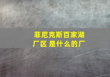 菲尼克斯百家湖厂区 是什么的厂